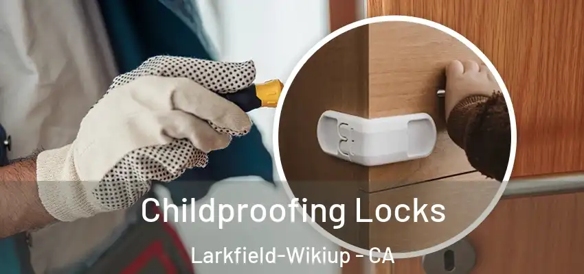 Childproofing Locks Larkfield-Wikiup - CA