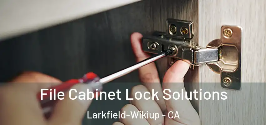  File Cabinet Lock Solutions Larkfield-Wikiup - CA