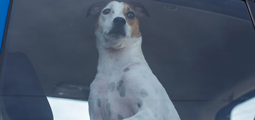 Car Lockout Solutions in Larkfield-Wikiup, California