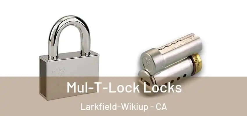  Mul-T-Lock Locks Larkfield-Wikiup - CA